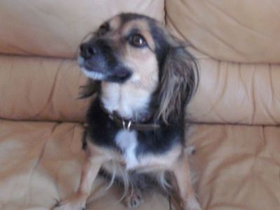 Maggie