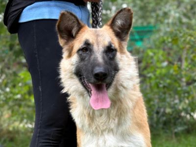 Bella-19