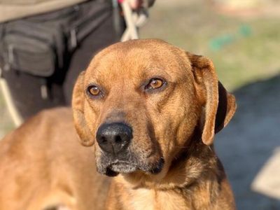 Balu-5