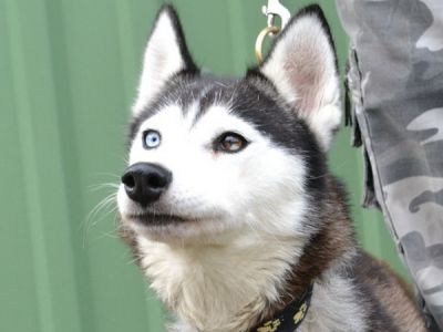 Alaska-2