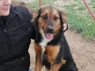 Kiska