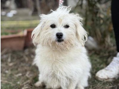 Marita