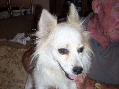 Blanqui
