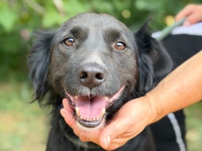 Nelda